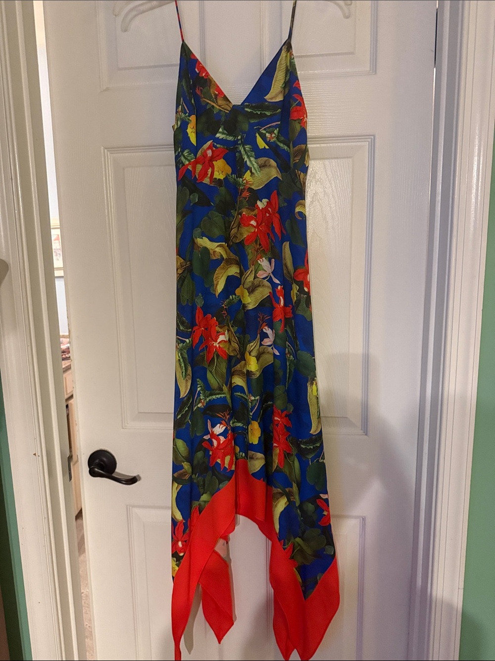 Alice + Olivia Blue Floral Midi Slip Dress with Red Border